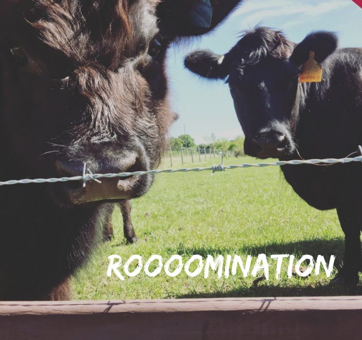 Rooooomination